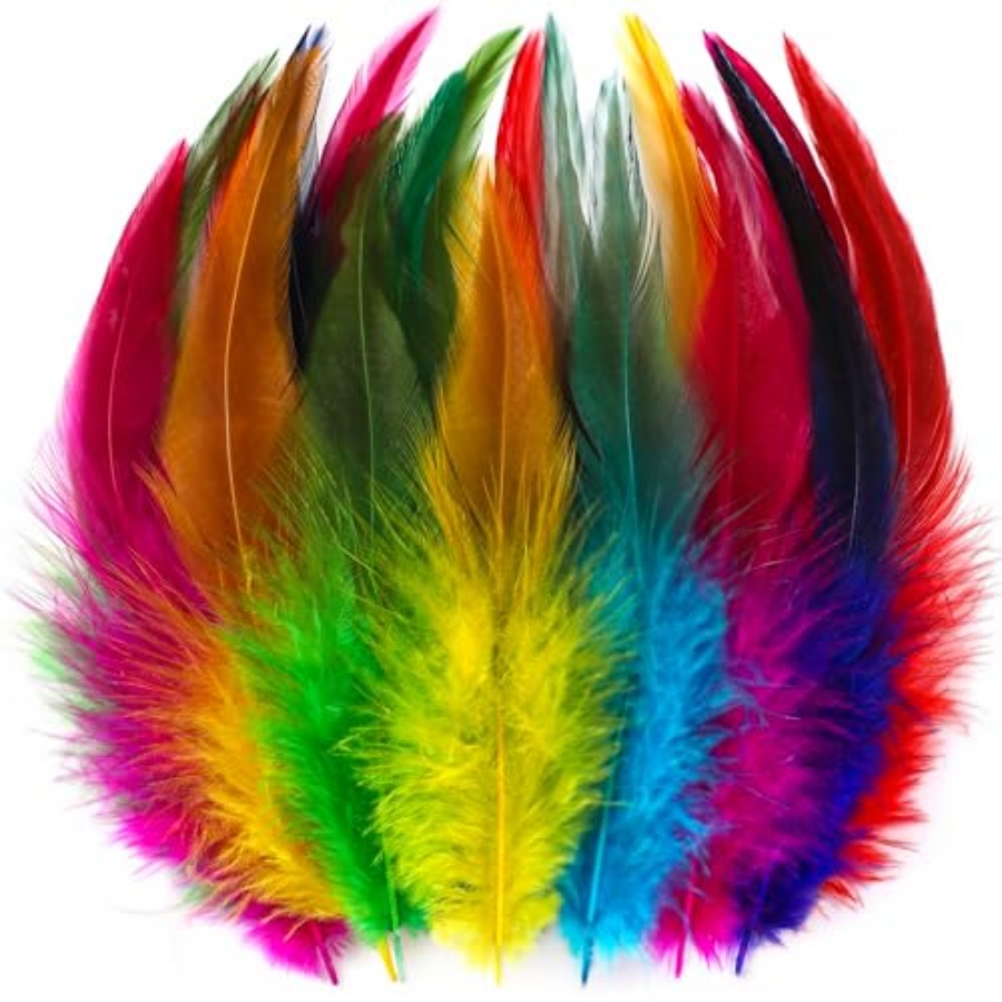 Art Craft Kindergarten - Holmgren Colorful Craft Rooster Feathers -
