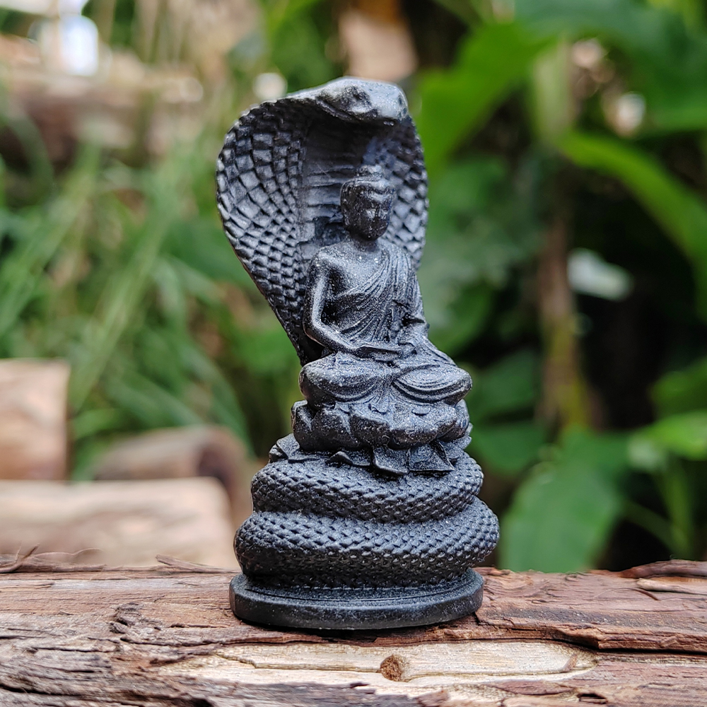 Snake-Guarding-Buddha Sculptur - Art Craft New Year reseña y precio