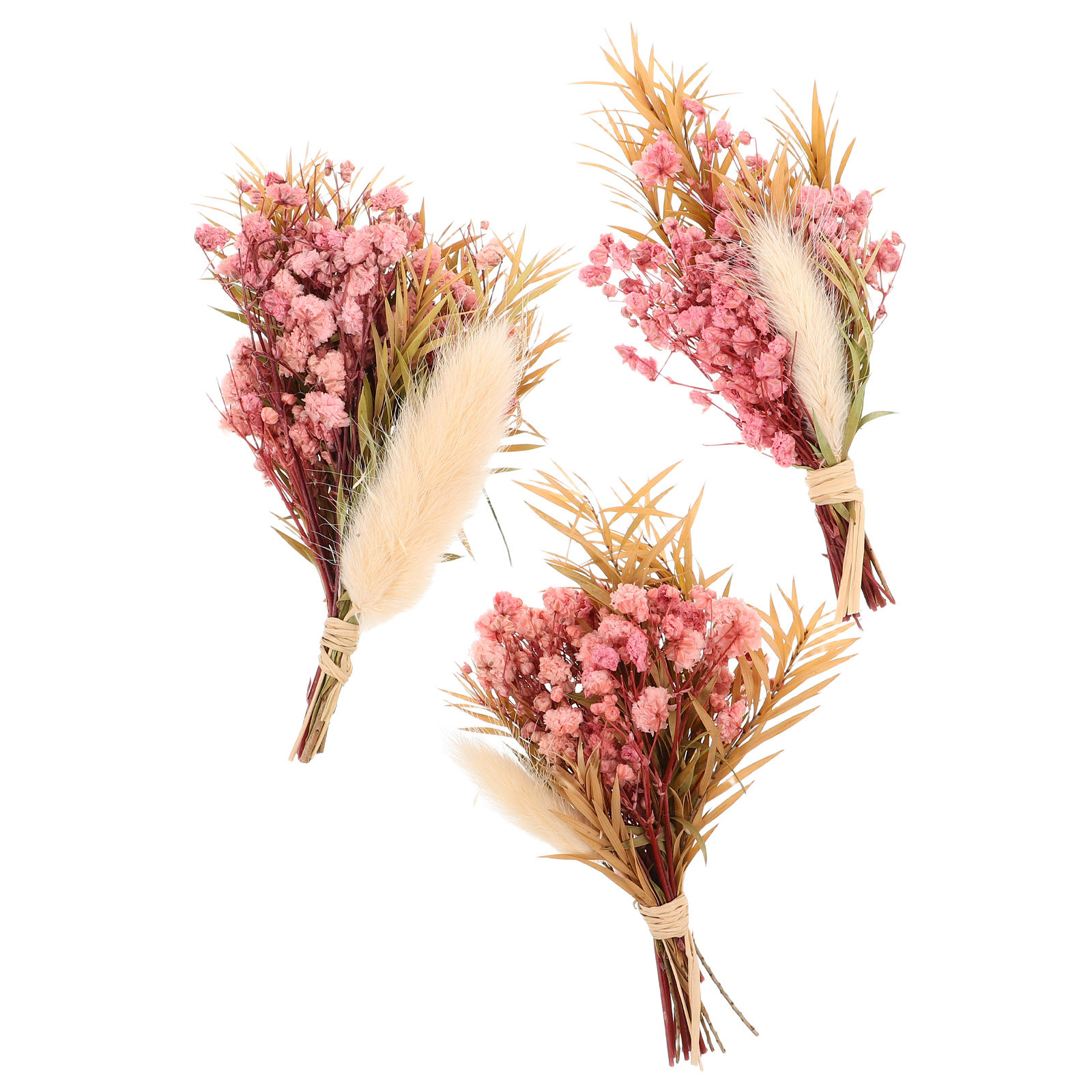 3Pcs Mini Dried Floral Bouquet - Art Craft Vase reseña y precio